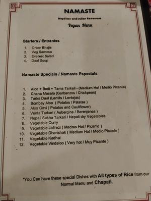 Vegan menu at Namaste Nepalese and Indian in Nerja