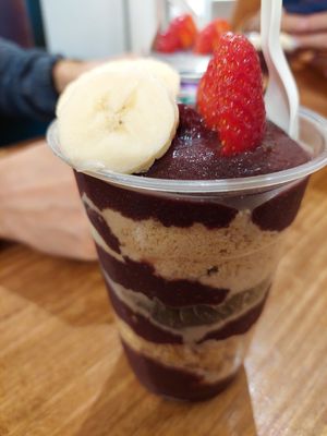 Oak at Oakberry in Lisbon