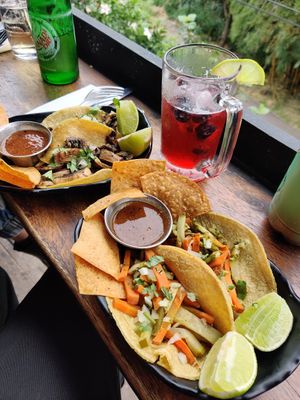  at Taco Taco in Monteverde