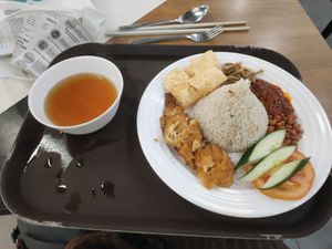 Nasi Lemak VFC 14.50 at KUL - VegTalk Station - KLIA 2 in Sepang