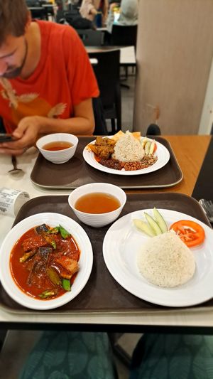 Nyonya Fish Rice, Nasi Lemak Rendang at KUL - VegTalk Station - KLIA 2 in Sepang