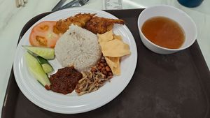 Nasi Lemak VFC at KUL - VegTalk Station - KLIA 2 in Sepang