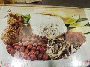 Nasi lemak rice at KUL - VegTalk Station - KLIA 2 in Sepang