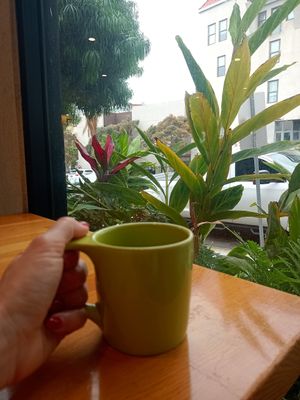  at Parakeet Cafe in San Diego