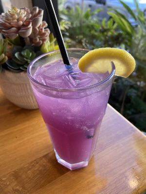   at Parakeet Cafe in San Diego