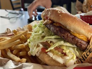 Nice Burger and fries at Nice Burger - Costa Mesa in Costa Mesa