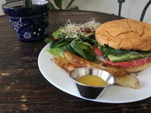 Beetroot burguer at Corazón de Hemp in Cabo San Lucas