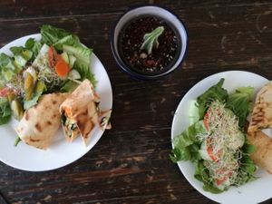 Veggie wrao at Corazón de Hemp in Cabo San Lucas