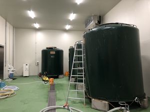 Sakagura  at Nanbu Bijin in Ninohe