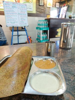 Palak Masala Dosa (95 INR)💗  at Dosa Palace in Mysore