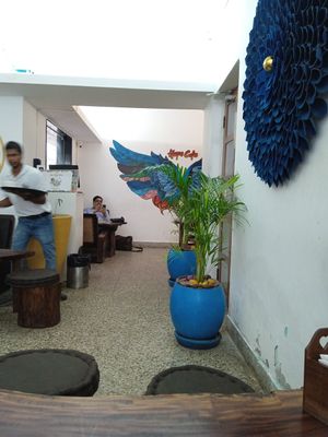 #Veganuary at Hope Cafe in Pondicherry