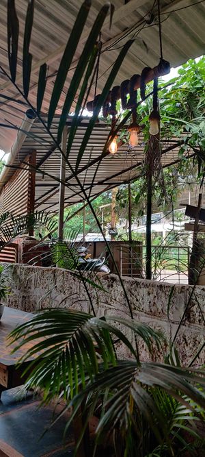  at Bibhitaki in Palolem