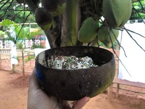 Nice Cream Smoothie served in a natural coconut shell bowl at Bibhitaki in Palolem