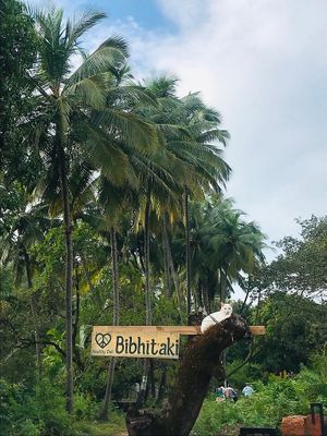 Feline Mascot. at Bibhitaki in Palolem