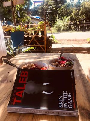 the view.  at Bibhitaki in Palolem