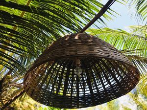 canopy at Bibhitaki in Palolem