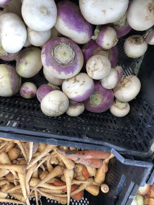 Schlagel Farm at Anne Arundel County Farmers Market in Annapolis