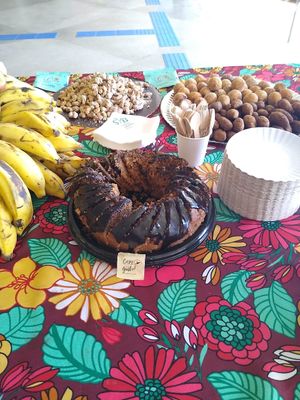 Capacitação em Nutrição Vegetariana at Sociedade Vegetariana Brasileira in Salvador