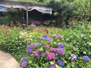 Beautiful garden all around the property  at Jag Eunbueok 작은부엌 in Jeju
