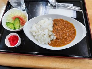 Vegan Curry at Lakeside Eatery 湖畔荘 in Hakone
