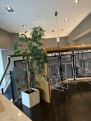   at The Bookshelf in Cork