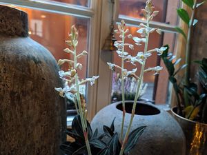 interior at SOMA Cafe in Vilnius