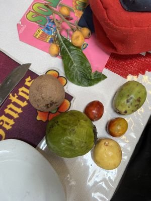   at Vegan Food Tours Oaxaca in Oaxaca