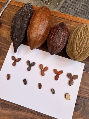   at Vegan Food Tours Oaxaca in Oaxaca