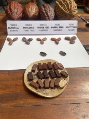   at Vegan Food Tours Oaxaca in Oaxaca