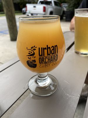 Kombucha  at Nine Mile Montford in Asheville