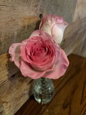   at Cafe Sunflower in Atlanta