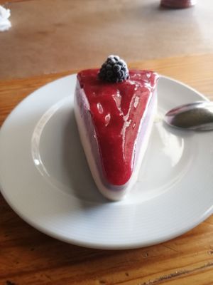 Vegan raw dessert at Falafel Shalom in Tepoztlan