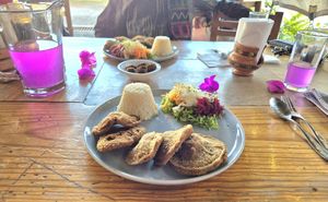 Breaded oyster mushrooms with rice and salad at Falafel Shalom in Tepoztlan