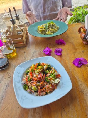 Vegan fettuccine with pesto, quinoa salad at Falafel Shalom in Tepoztlan