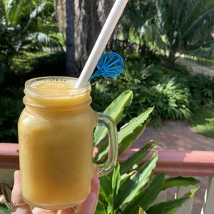 Vegan Mango Tango  at Absolute Cravings in Annandale