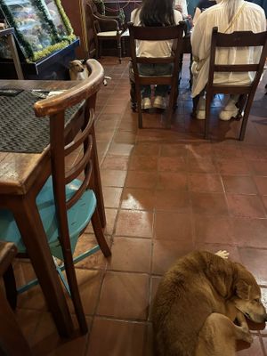   at The Pasta Factory in Galle