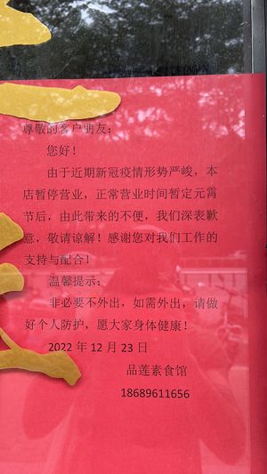Close until the end of Chinese new year 2023   at Pǐn Lián SùShí 品莲素食 in Sanya