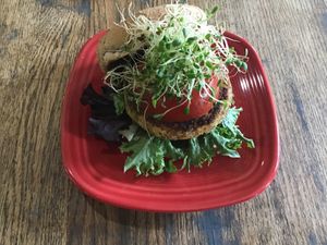 Daily House-Made Burger at Good Natured Cafe in Martinsburg