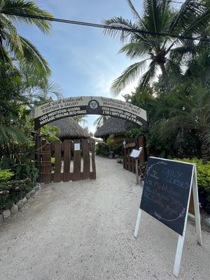 Entrance  at Present Moment in Troncones