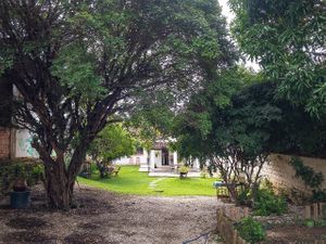 Jardim at Passiflora Cantina Vegetariana in Pirenopolis