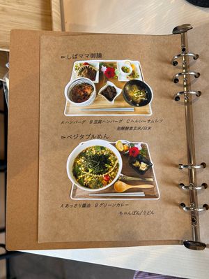 Veggie udon has dashi can be veganized if requested   at Shiba Mama No O Mise in Yamagata