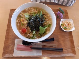 Vegan udon noodle soup at Shiba Mama No O Mise in Yamagata