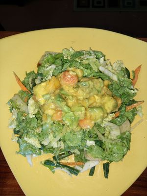 New avocado papaya salad at Wild Thyme Organics in Kealakekua