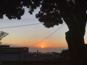 The view! 😍 at Wild Thyme Organics in Kealakekua