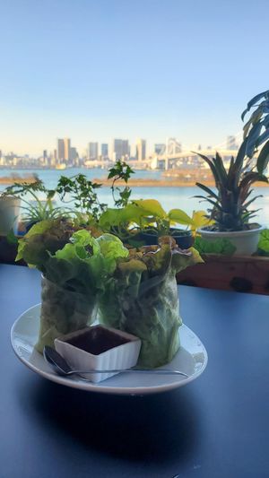 Summer rolls at Green Asia in Tokyo