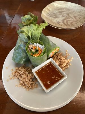 Spring roll from vegetarian dinner menuu  at Green Asia in Tokyo