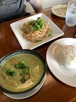 Green curry and Pad Thai (without egg) from the vegetarian dinner menuu  at Green Asia in Tokyo