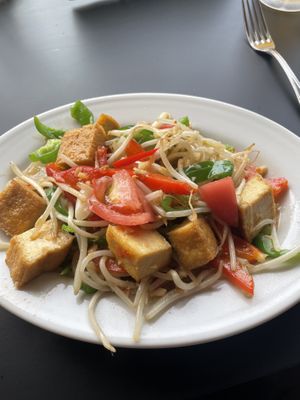 Hot tofu saladd  at Green Asia in Tokyo