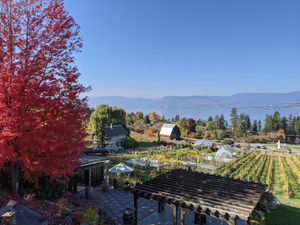 View from patio, Oct-2021 at Summerhill Pyramid Bistro in Kelowna