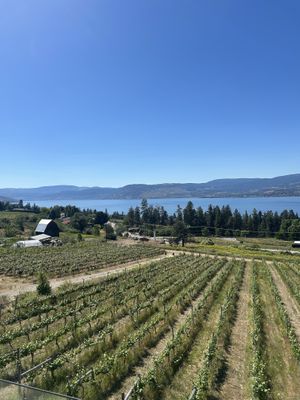 View from the outdoor seating area. Greenhouse too.  at Summerhill Pyramid Bistro in Kelowna